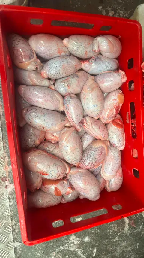 Subproduktai raudonoje dėžėje